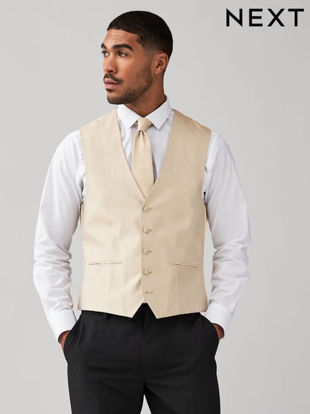 Neutral Brown Regular Fit Textured Silk Waistcoat (196059) | € 36