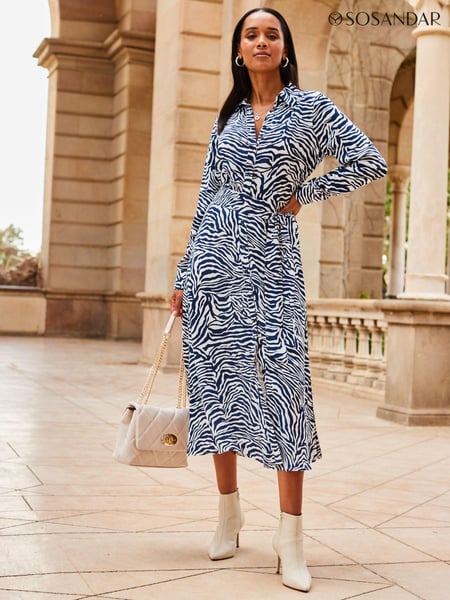 Sosandar Blue Zebra Print Belted Shirt Dress (719684) | € 123