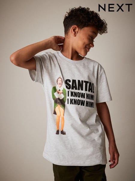 Grey Elf Short Sleeve Christmas T-Shirt (3-16yrs) (A44159) | € 3 - € 5