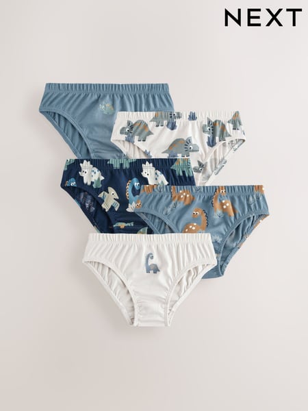Blue Dinosaur 100% Cotton Printed Briefs 5 Pack (1.5-10yrs) (AA1135) | € 11 - € 13