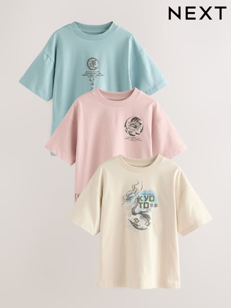 Grey/ Blue Japanese Relaxed Fit Graphic Print Short Sleeve 100% Cotton T-Shirts 3 Pack (3-16yrs) (AG3069) | € 27 - € 35