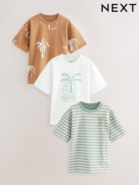 Rust/White/Stripe Palm Relaxed Fit Graphic Print Short Sleeve 100% Cotton T-Shirts 3 Pack (3-16yrs) (AG3073) | € 28 - € 37
