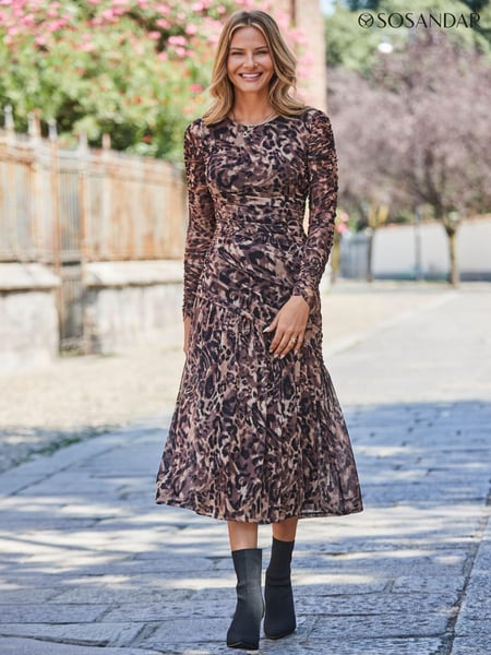 Sosandar Natural Animal Print Mesh Ruched Waist Fit and Flare Dress (AH9265) | € 117