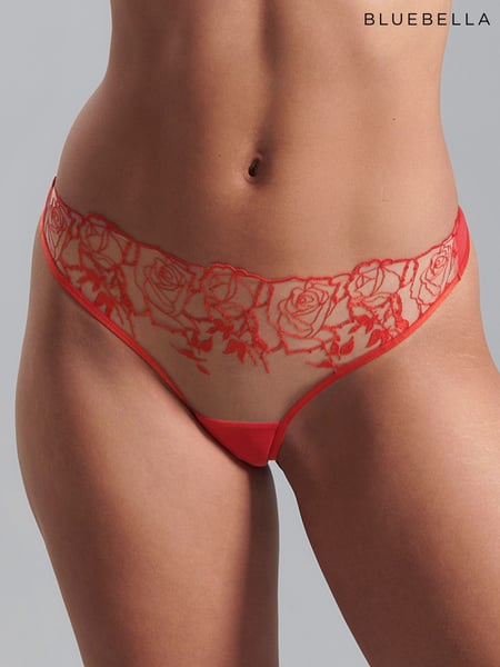 Bluebella Rosalie Rose Embroidered Mesh Knickers (AJ8736) | 34 €