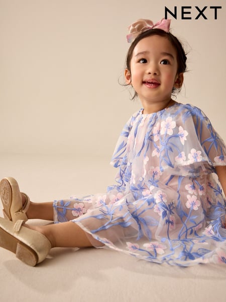 Pink/Blue Embroidered Mesh Dress (3mths-8yrs) (AK0003) | € 41 - € 50