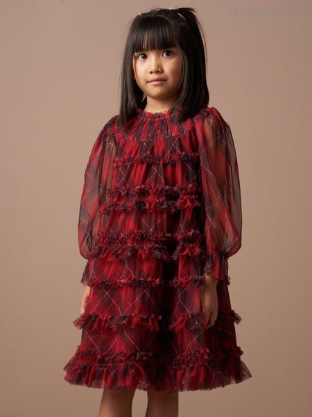Angel & Rocket Red Juliana Tartan Mesh Dress (AK0633) | € 29 - € 33
