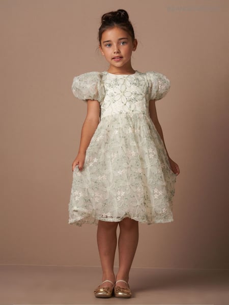 Angel & Rocket Green Eva Embellished Tulle Dress (AK0652) | € 101 - € 112