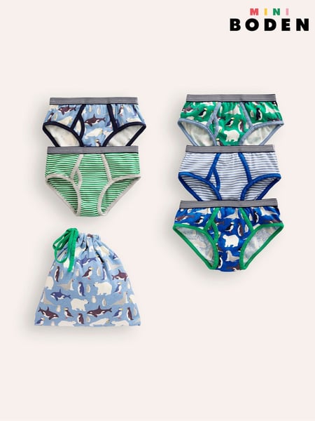 Boden Blue 100% Cotton Briefs 5 Pack (AU3141) | € 20 - € 24