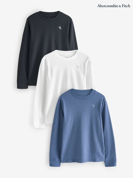 Abercrombie & Fitch Blue Essential Icon Logo Long Sleeves T-Shirt 3 Pack (AW5471) | € 62 - € 66