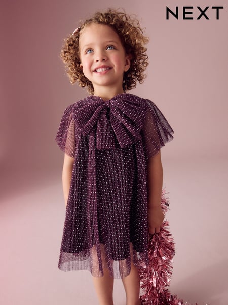 Plum Purple Sparkle Mesh Dress (3mths-7yrs) (B37994) | € 18 - € 23