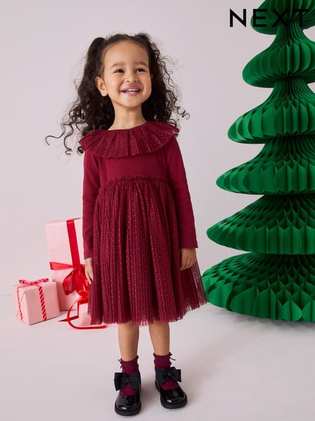 Burgundy Long Sleeve Mesh Dress (3mths-7yrs) (B46000) | € 18 - € 21