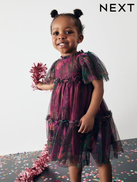 Plum Purple Printed Mesh Party Dress (3mths-7yrs) (B86784) | € 19 - € 23