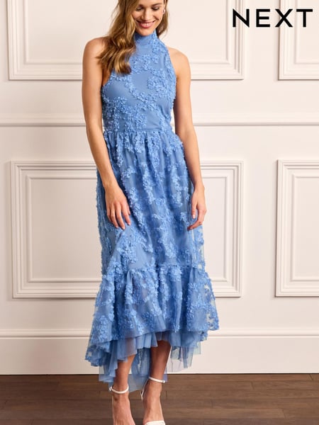 Cornflower Blue 3D Floral Mesh Midi Dress (C29755) | € 51