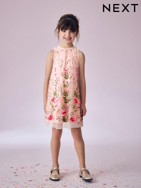 Pink Embroidered Mesh Dress (3-16yrs) (E23791) | € 74 - € 82