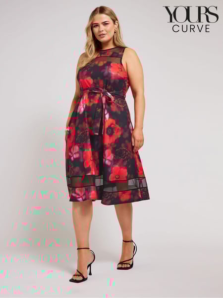 Yours Curve Black Floral Mesh Panel Skater Dress (E25738) | € 84