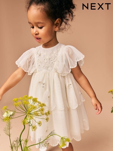 White Short Sleeve Embroidered Mesh Dress (3mths-7yrs) (E54784) | € 33 - € 38