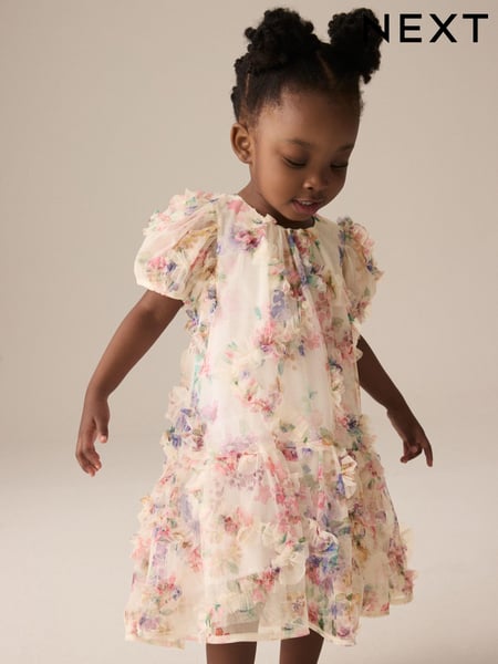 Multi Floral Mesh Party Dress (3mths-7yrs) (E54788) | € 27 - € 33