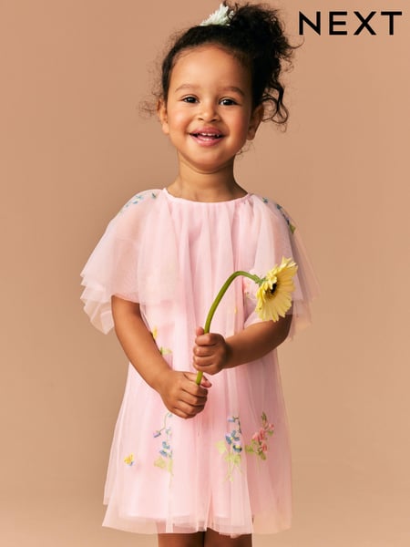 Pink Angel Sleeve Embroidered Mesh Dress (3mths-8yrs) (E79561) | € 34 - € 43