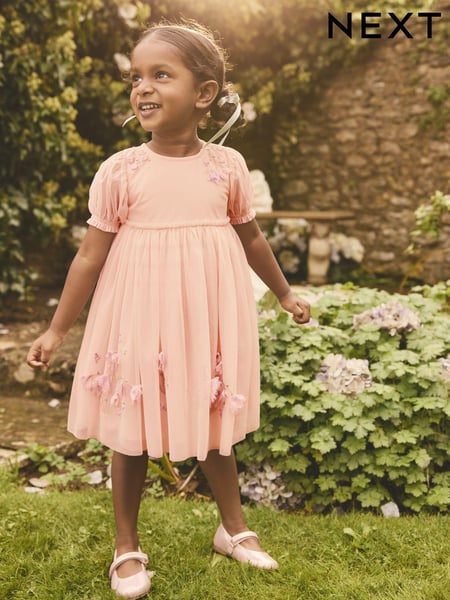 Pink Embroidered Mesh Dress (3mths-8yrs) (E86993) | € 31 - € 40