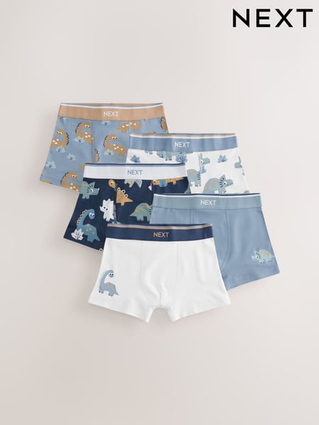 Blue/Brown Dino Trunks 5 Pack (1.5-12yrs) (E98868) | € 20 - € 23