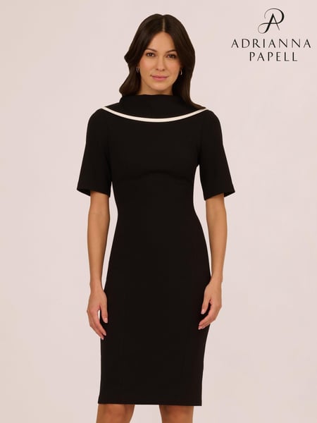 Adrianna Papell Roll Neck Sheath With V Back Black Dress (F04150) | € 186