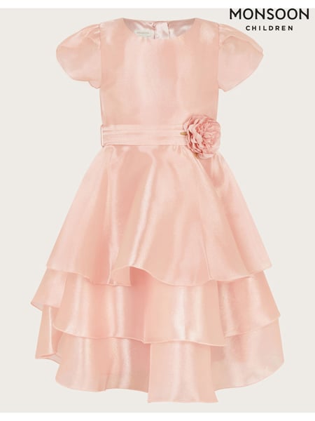 Monsoon Pink Olena Organza Ruffle Dress (F06680) | € 81 - € 97