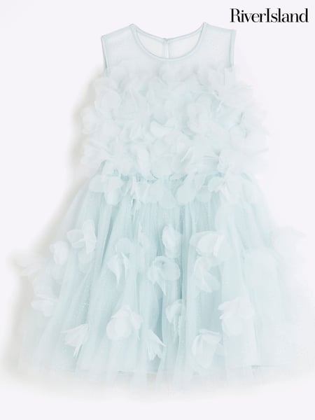 River Island Blue Girls Embellished Tulle Dress (F27712) | € 78