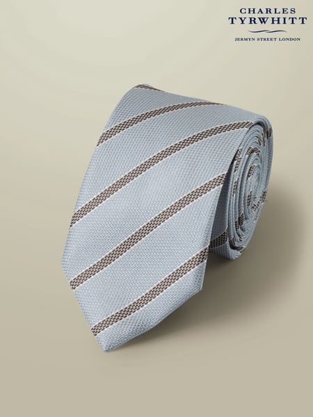 Charles Tyrwhitt Blue Silk Stripe Tie (H26106) | € 55