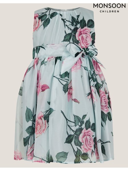 Monsoon Green Baby Rosaline Floral Party Dress (H26854) | € 69 - € 72