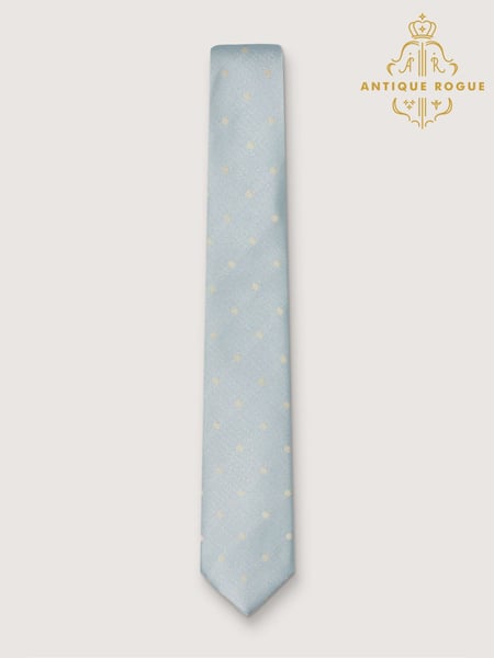 Antique Rogue Blue Polka Dot Tie (H47537) | € 31