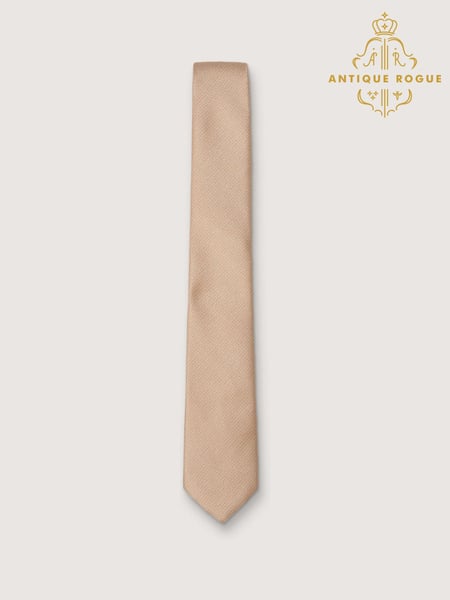 Antique Rogue Natural Texture Tie (H47549) | € 31