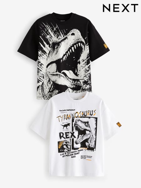Black/White Dinosaur Graphic Short Sleeve 100% Cotton T-Shirts 2 Pack (3-16yrs) (K87606) | € 11 - € 18