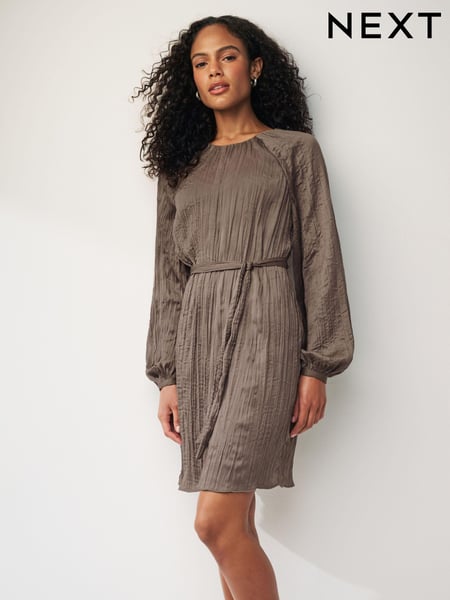 Brown Long Sleeve Crinkle Satin Mini Dress (N59875) | € 18
