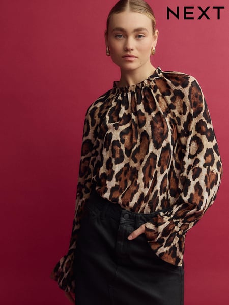 Brown Animal Print Volume Long Sleeve Blouse (Q61581) | € 42