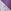 Lilac Purple Ditsy & Purple