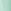 Green Mint