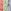 Multi Pastel Linear Character