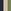 Neutral/Navy
