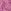 Purple Floral