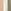 Neutral/Sage Green Transport