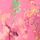 Pink/ Yellow Floral