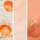 Orange/White Peach