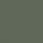 Tortoiseshell And Green Lens