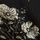 Monochrome Floral Ditsy