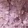 Purple Lilac
