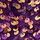 Purple Sequin
