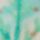 Cream/Pink/Green