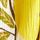 Yellow Lemon Print