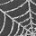 Grey/Silver Cobweb