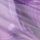 Purple Floral